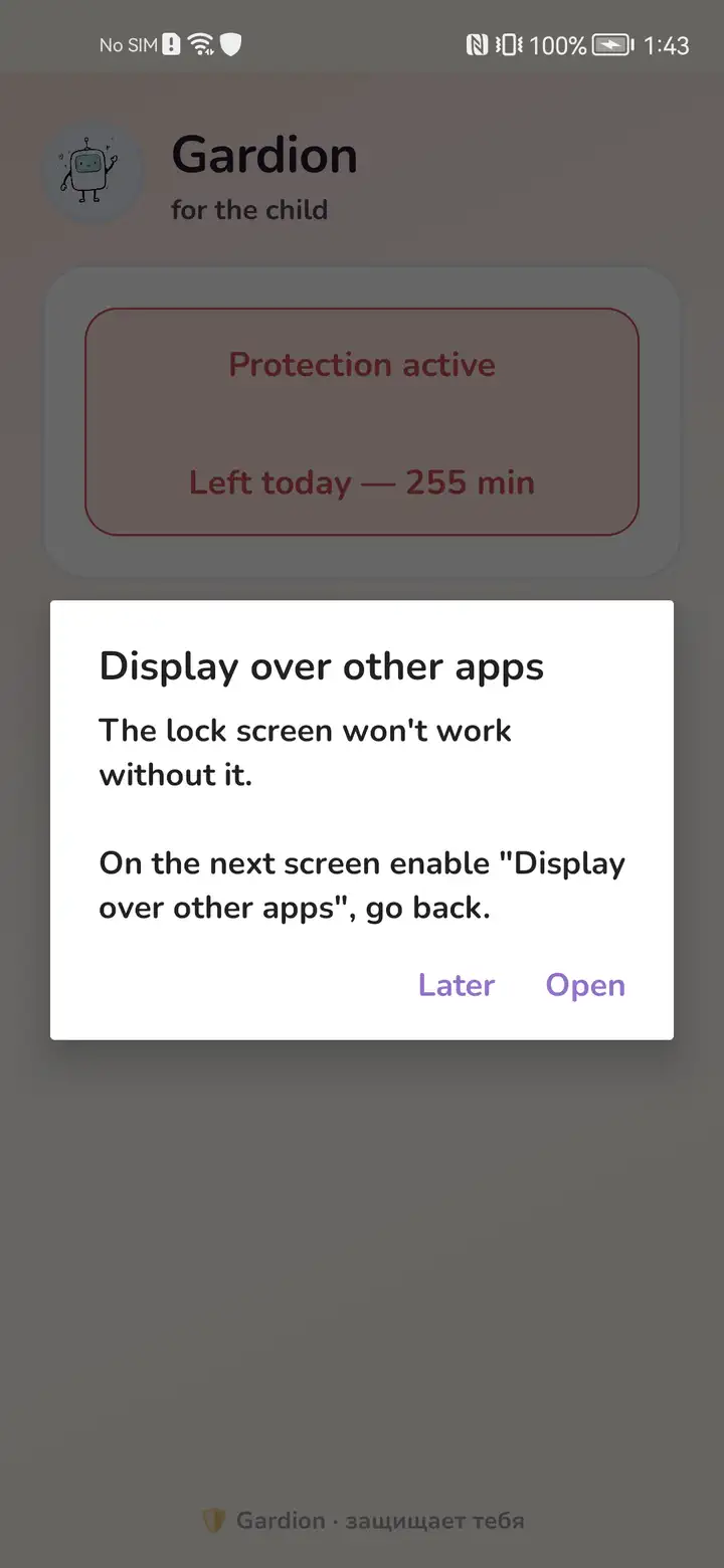 Display-over-other-apps explanation