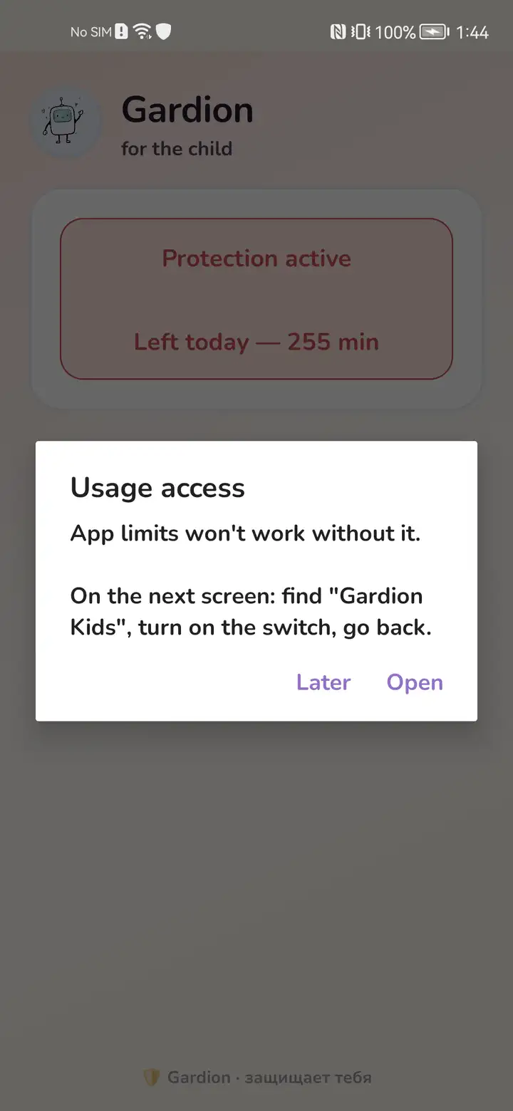 Usage access explanation